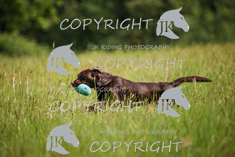 2R6A8017 - 17 Hannah