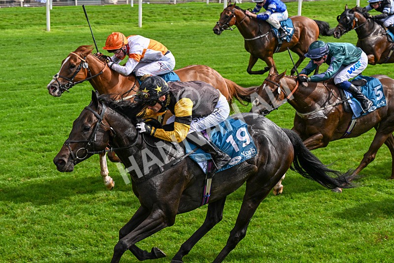 060926-Race 2-Oriental Prince-0125 - Race 2 2.05pm Fine Details Car Valeting Sprint Handicap