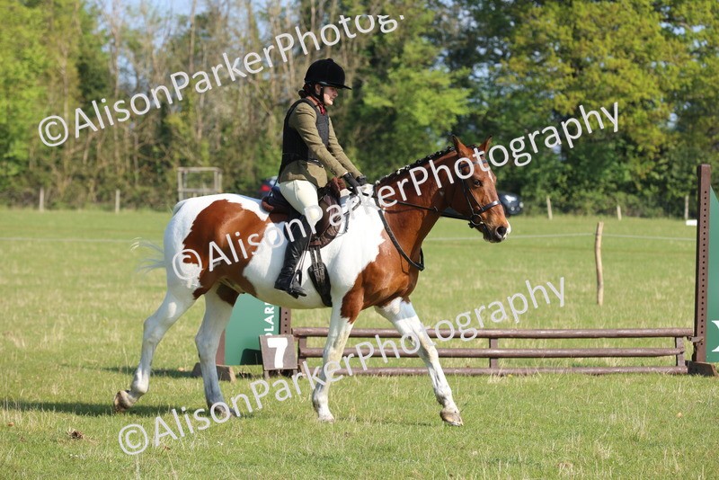 20250427-0572 - Class 17 - Novice Showing
