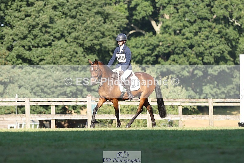 250823A-085812-25810 - Arena D