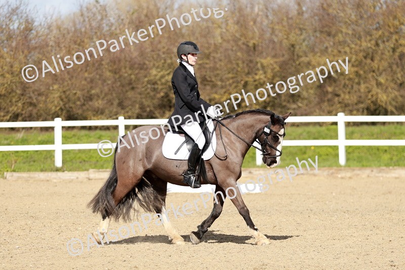 20260314-2955 - DR3 - Prelim 1