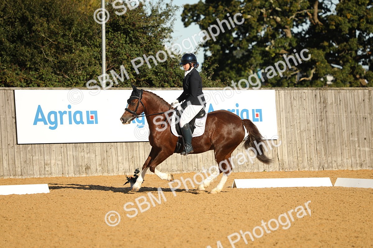 SBM_14194 - D10 - Small Tour Championship - Prelim 2