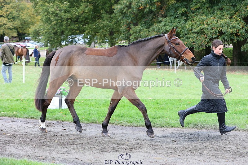 251026A-110835-25253 - G-504-Eliza.Langman-Rouse