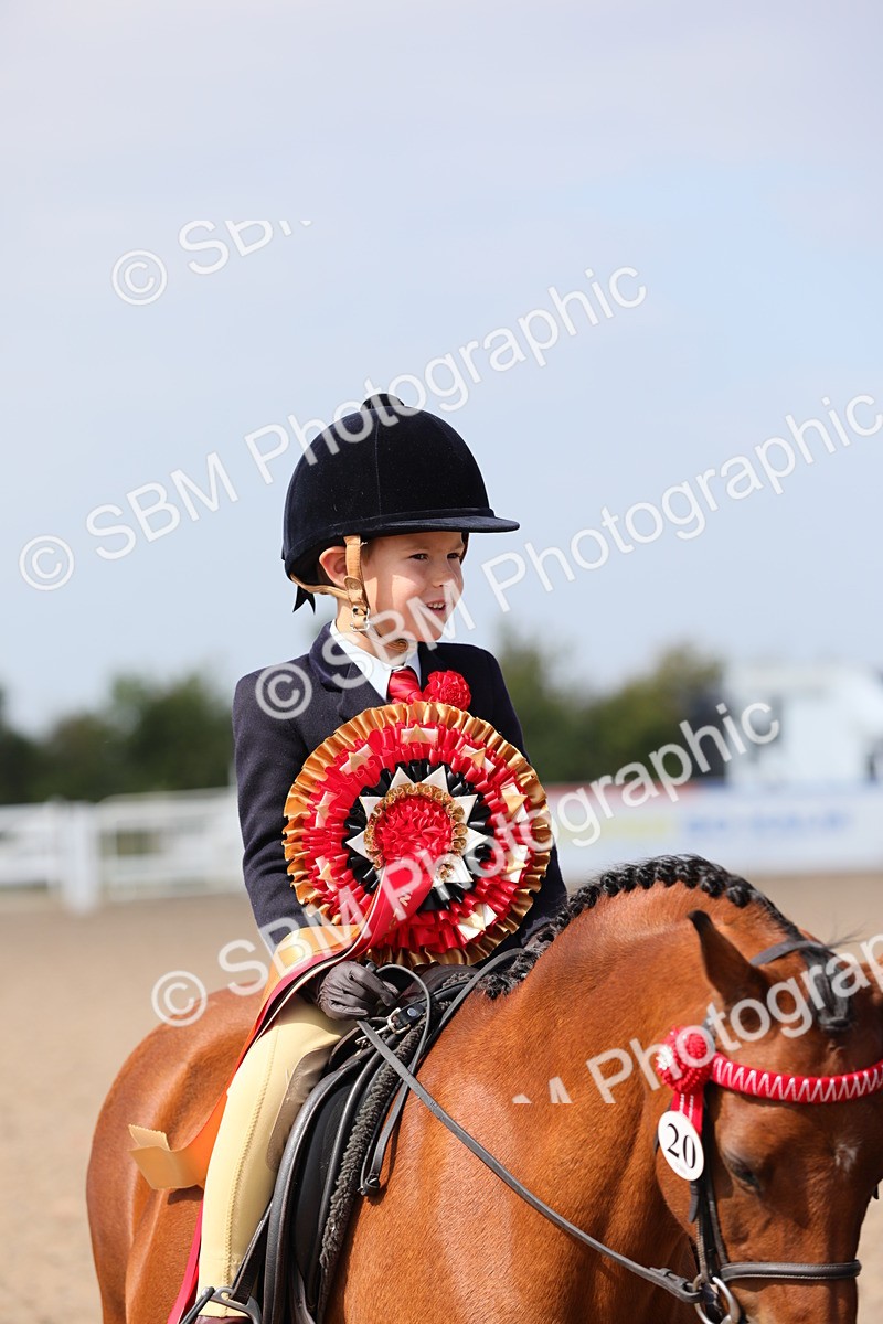 SBM_14084 - Class 309 Lead Rein Pony