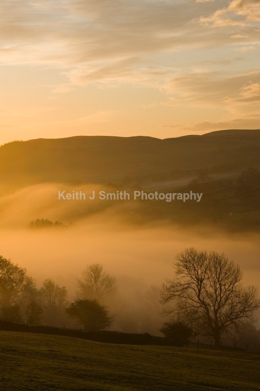 KJS_0529.jpg (RM) - While your were sleeping