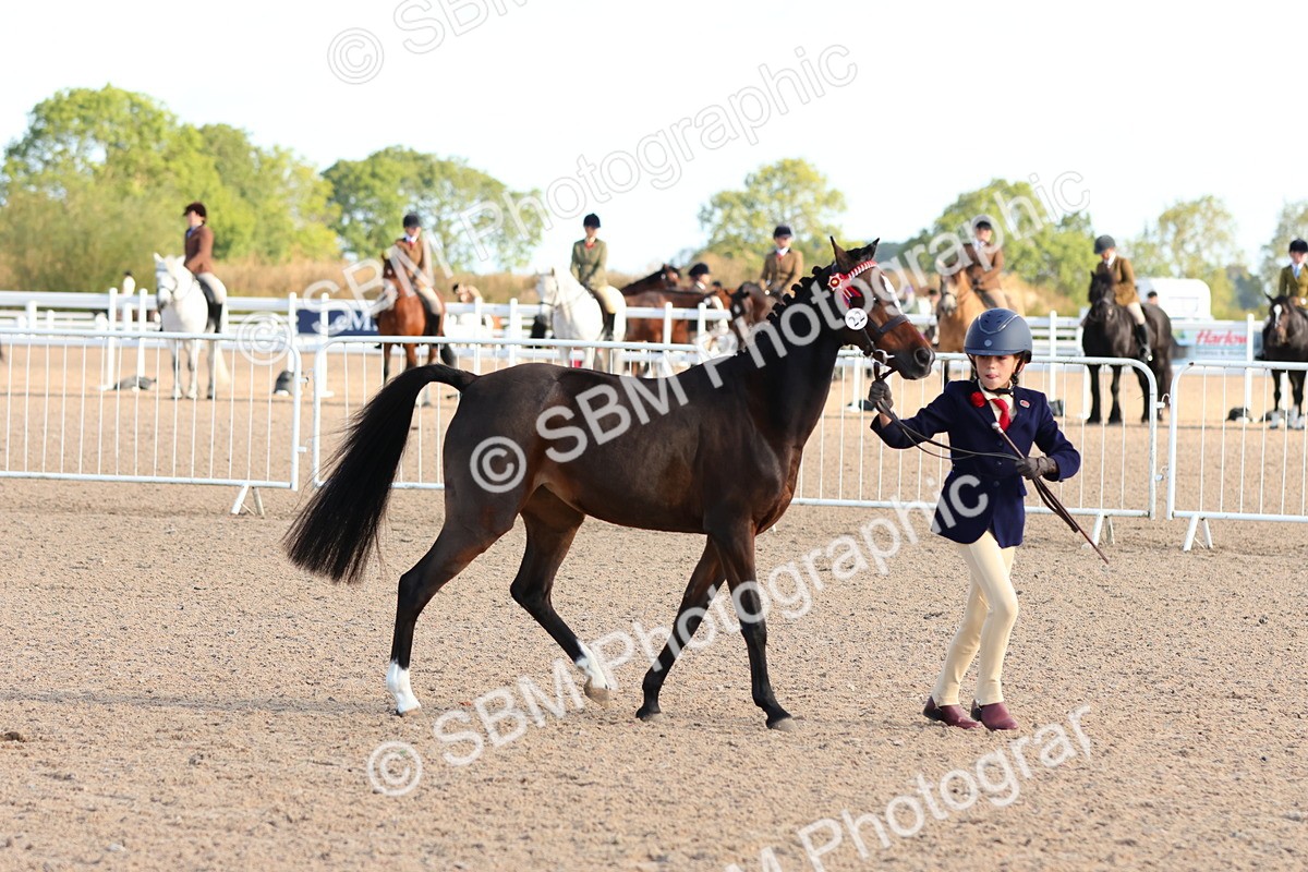 SBM_08660