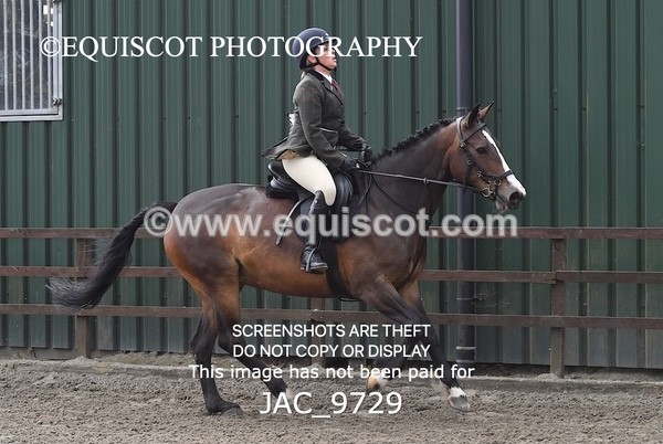 JAC_9729 - CLASS 2 Novice Working Hunter (0.60m - 0.70m)