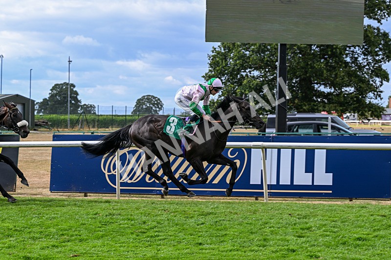010826-Race 6-La Peregrina-3356 - Race 6 16.22pm Vision PVC Carlton Miniott Thirsk Handicap