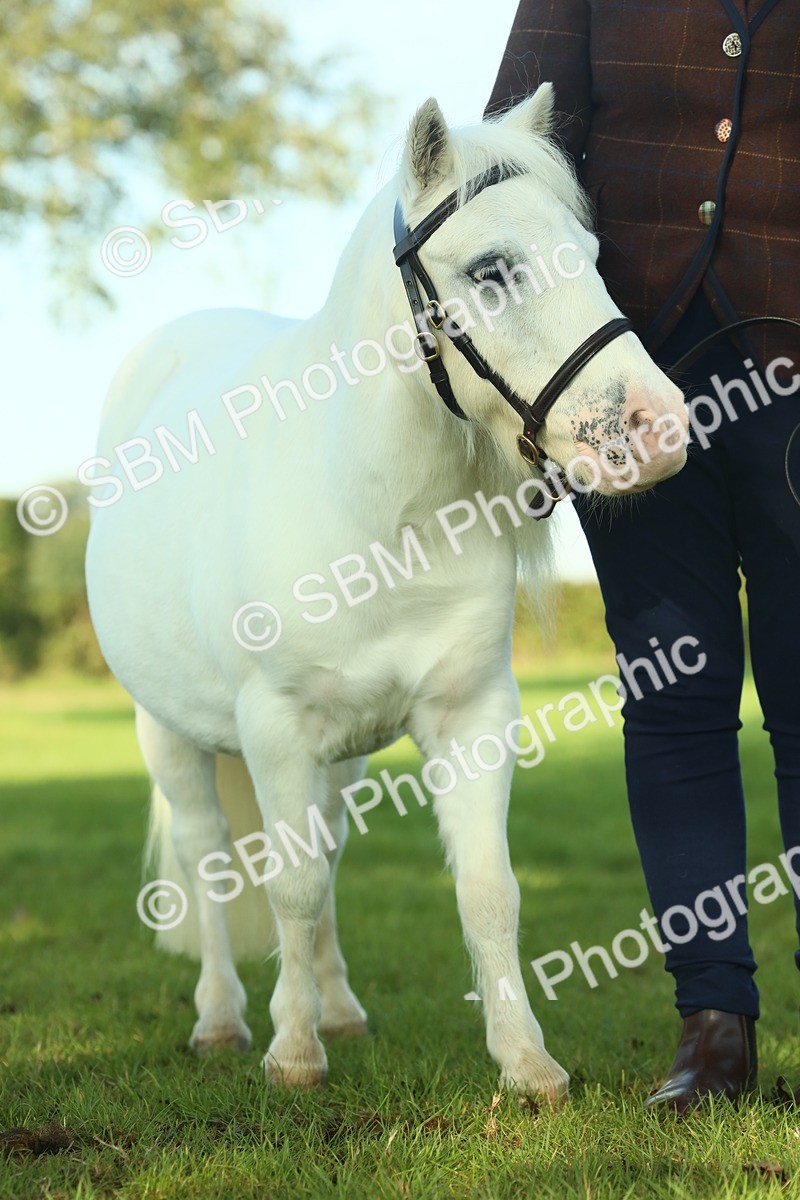 SBM_58605 - S37 - Starters In Hand Showing