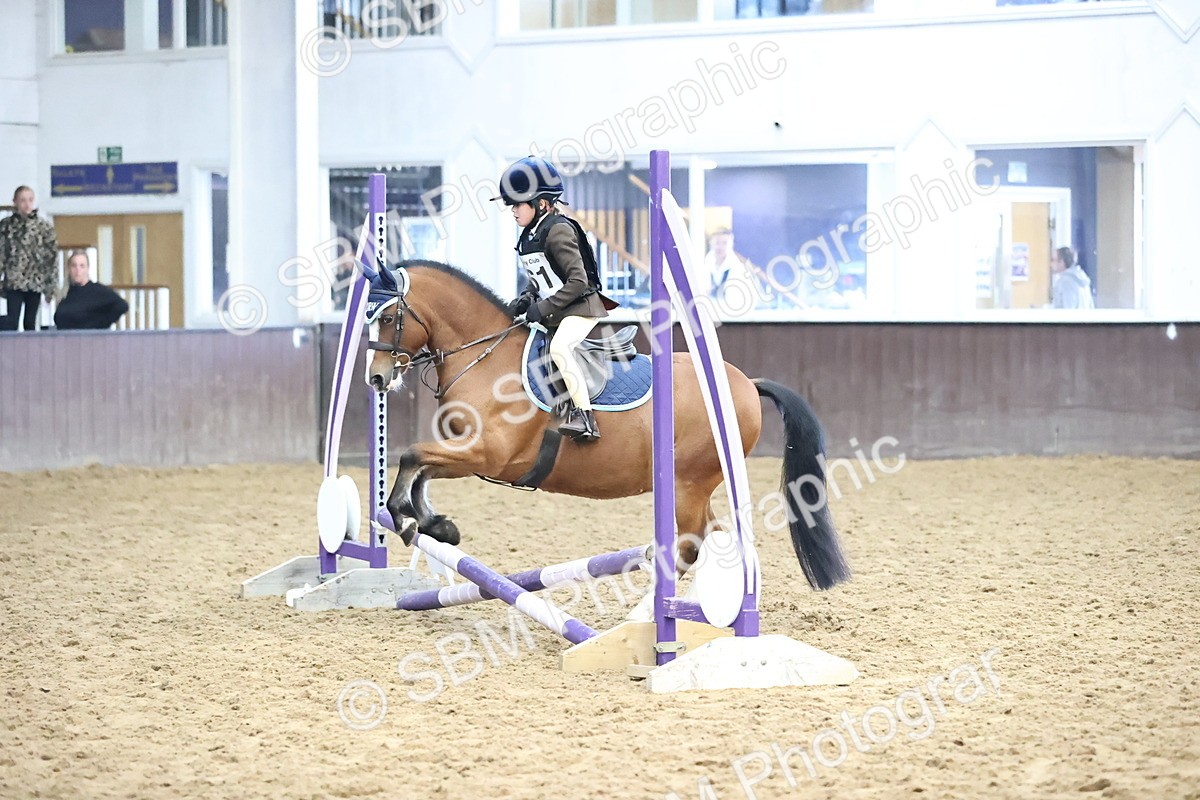 SBM_000263 - Class 2 - The Rug Lady 40cm Area 12 Championship Qualifier