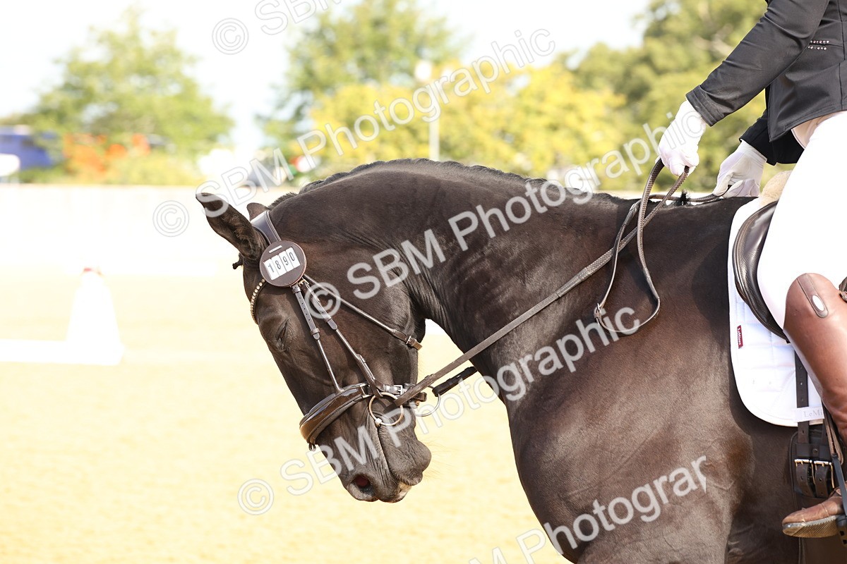 SBM_16173 - D10 - Small Tour Championship Prelim 2