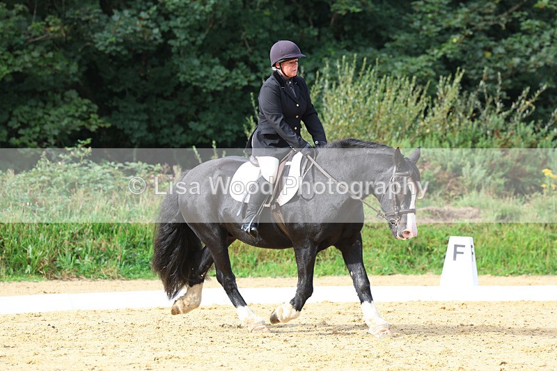 3E7A2336 - Class 1: Intro 4 2024 section A