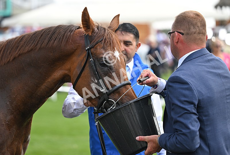 220826-123 Notable Speech - Race 3 15.00pm Sky Bet City Of York Stakes