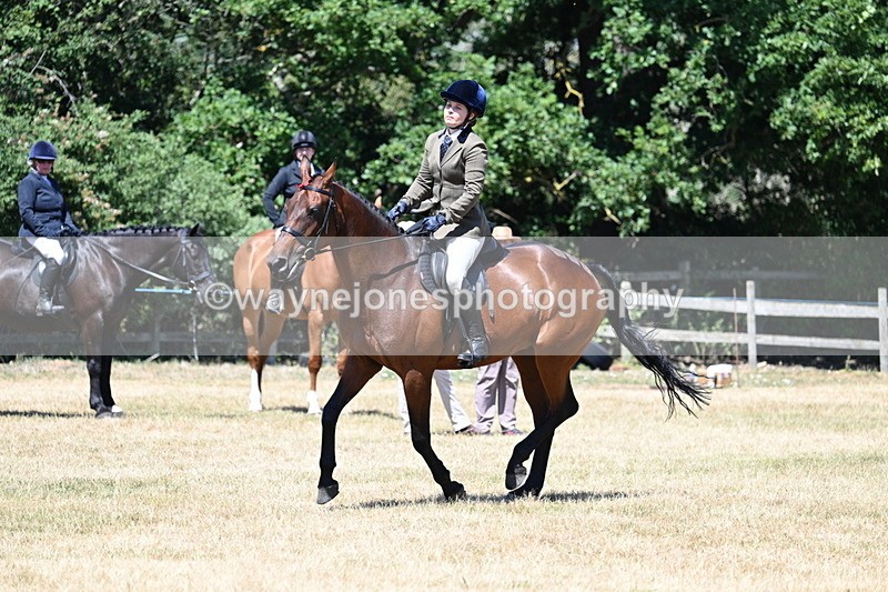 WJ7_3128 - Class 7 Riding Club Show Horse