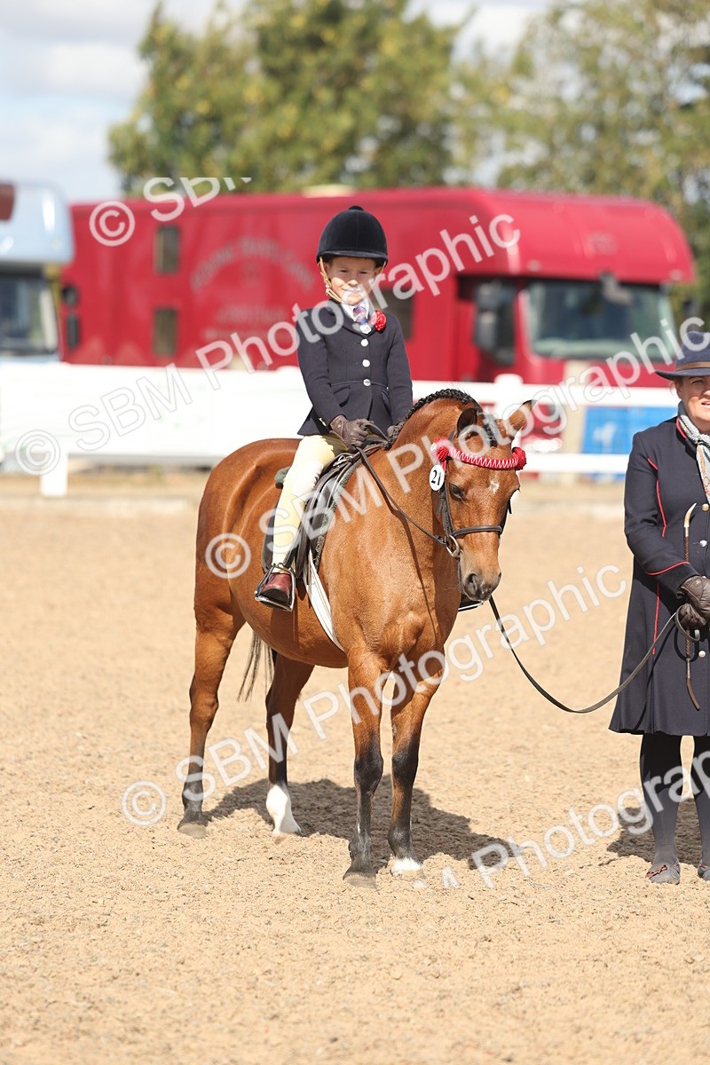 SBM_23168 - Class 806 - Young Rider 10ry and Under