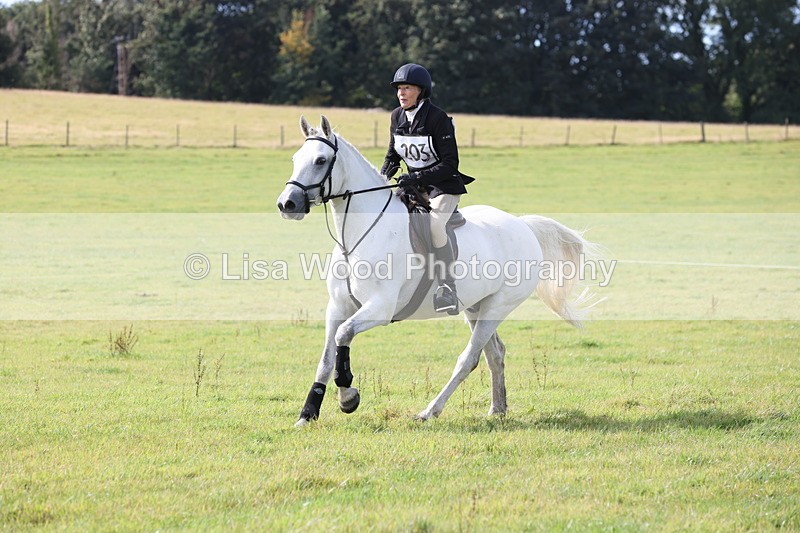 JPP_8587 - Class 2: Trekenning: 80cm Showjumping