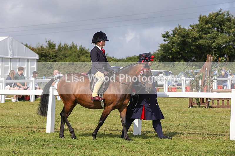 1X9A3562 - Class 29: Lead Rein SP/SHP