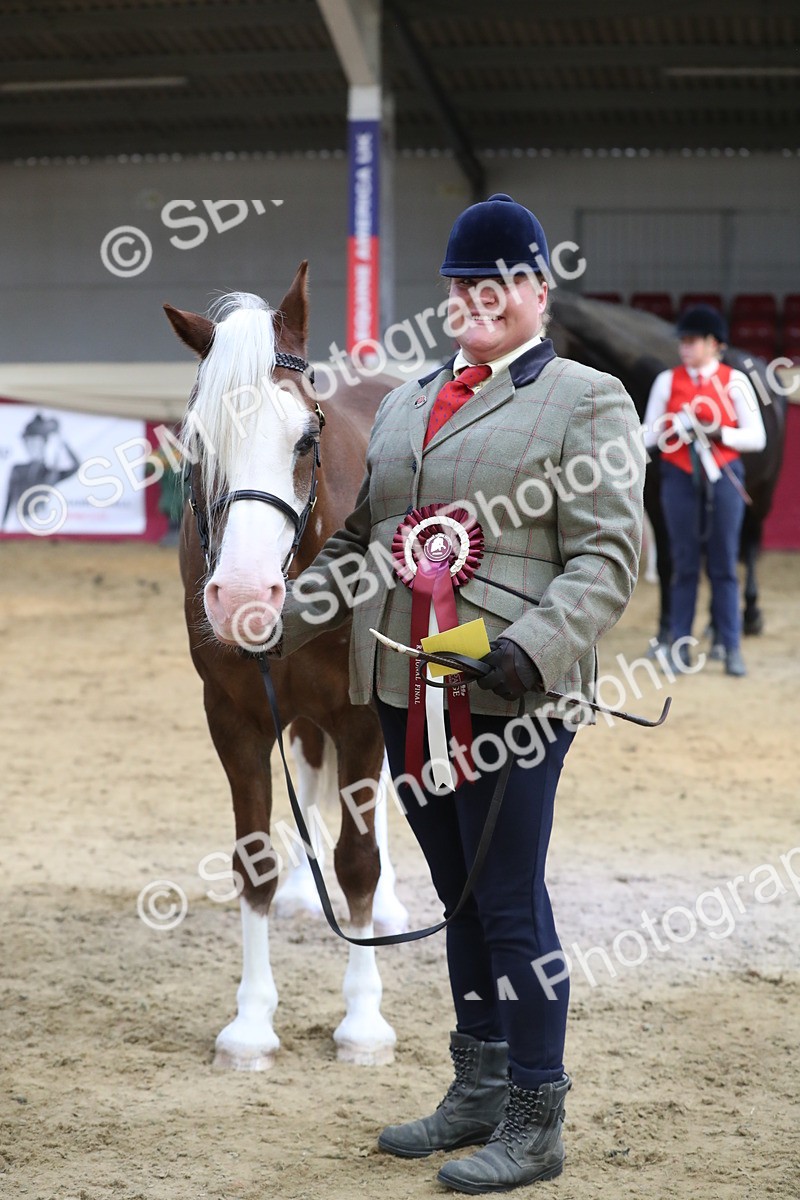 SBM_06465 - Class 9R Regional- IH Pre Vet