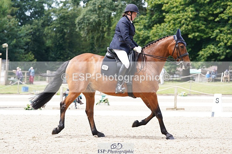 240721-120628-08161 - 101-Debbie_Dyke-The_Trojan