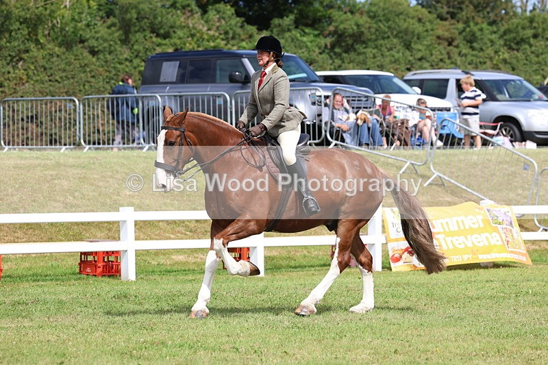 3E7A0192 - Class 6: Rising Star Maxi Cobs