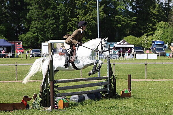 IMG_4510 - Working Hunter
