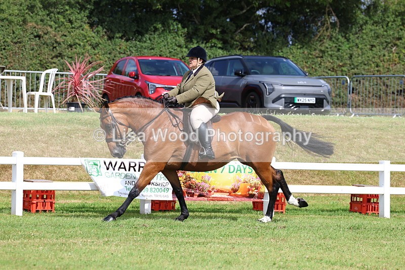 3E7A9442 - Class 4: Rising Star M/H Hunter