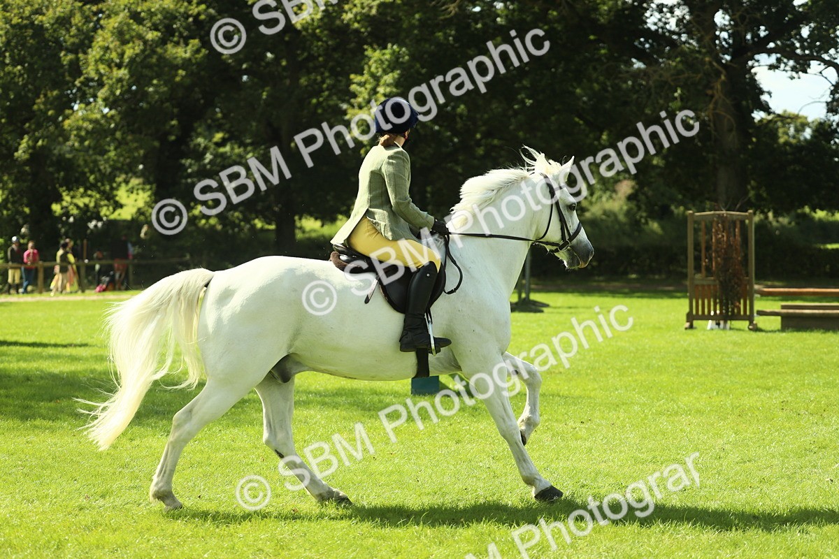 SBM_44541 - S30 - M&M Working hunter Pony