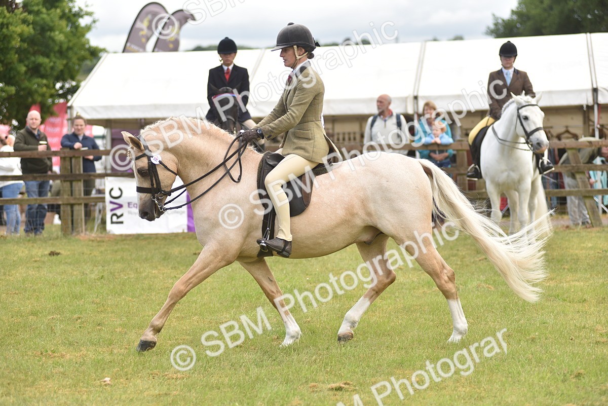 SBM_12134 - Class 110-112 - LIHS BSPS Performance Pones