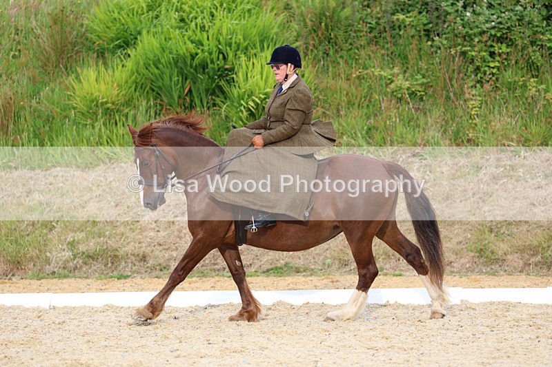 3E7A2072 - Class 3: Prelim 2 2024 Section A