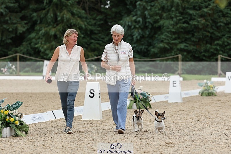 240810-145719-03856 - Dog Photos