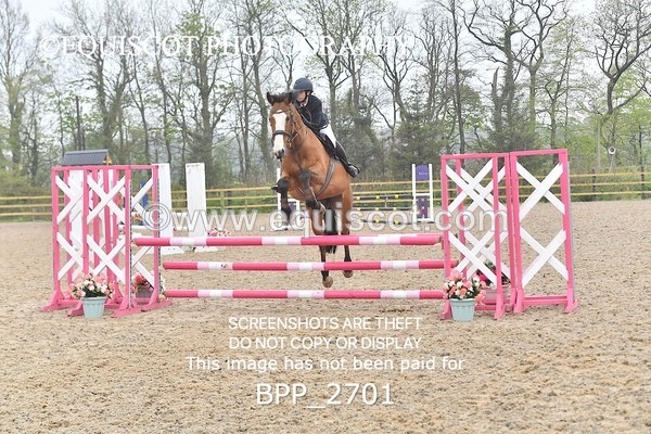 BPP_2701 - CLASS 4 Senior British Novice/ 90cm Open