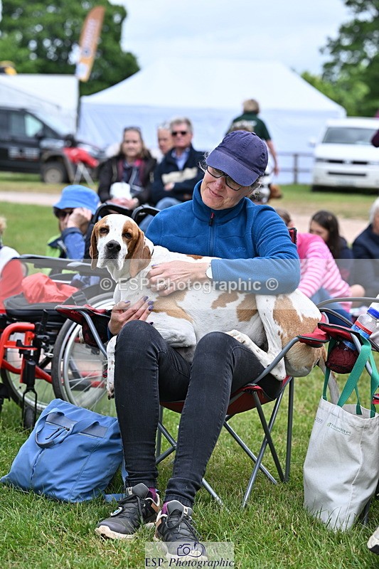 250525A-104537-15774 - Western Counties Crowds