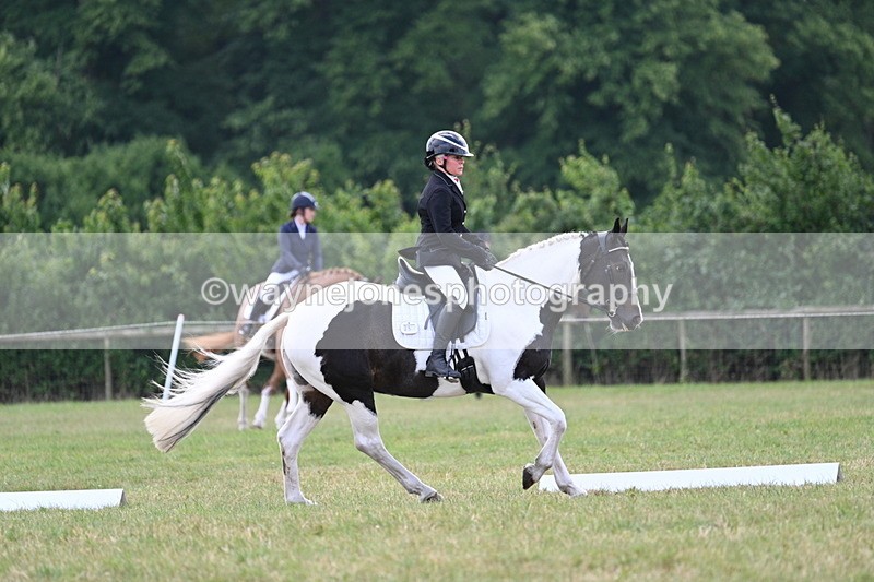 WJ7_5268 - Time 11:22 to 11:51