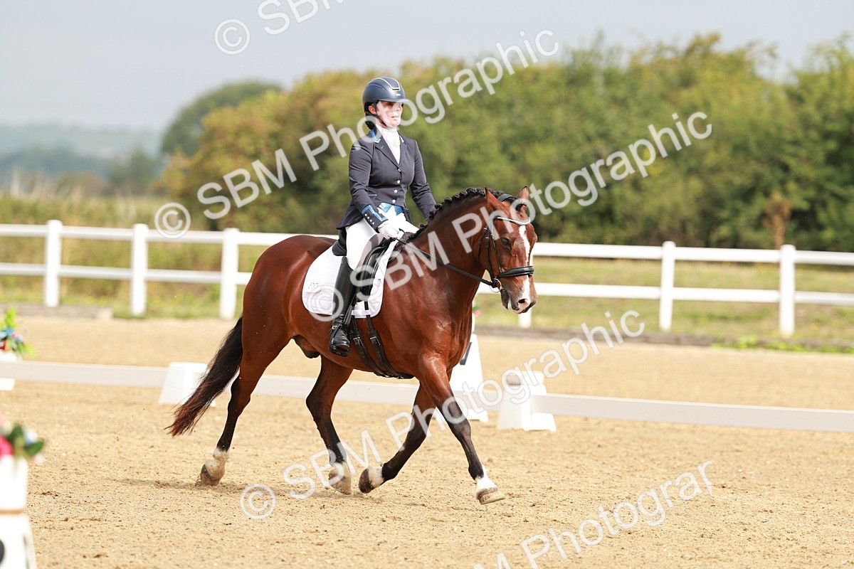 SBM_009008 - Class 12 - Elementary 6 - 9.30-10.34