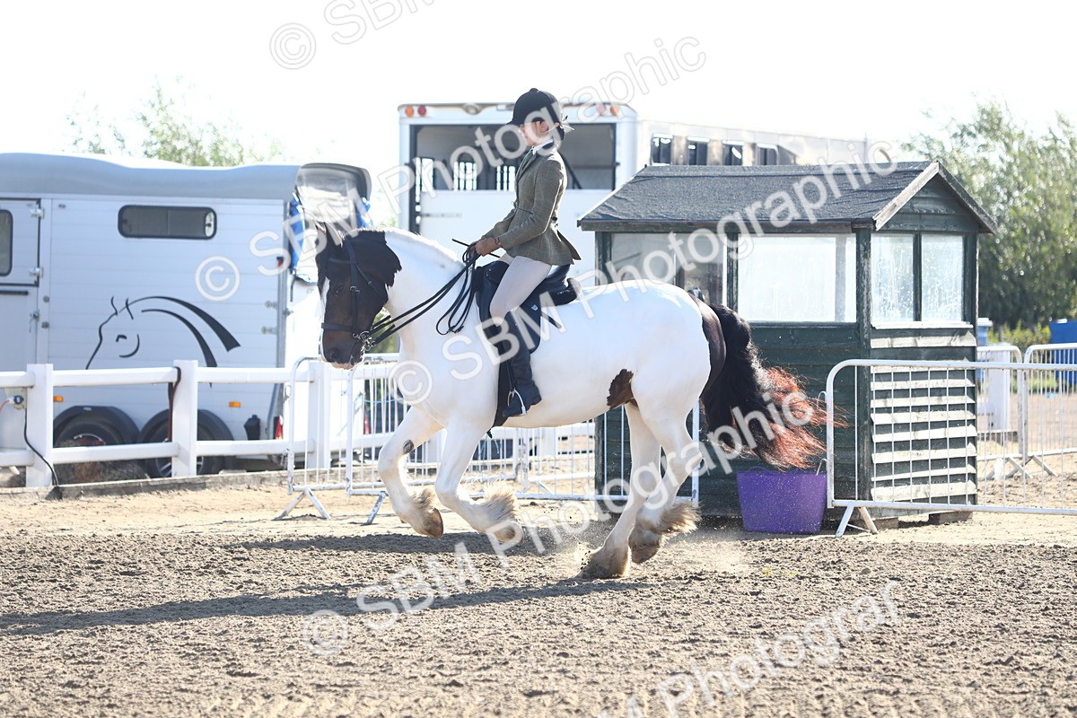 SBM_08579 - Class 502 - Riding Club Horse