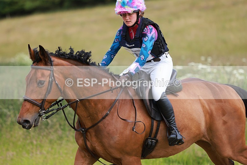 240630X-140440-7152 - 336-Tichy_Sanders-SPARHANGER_VELVET