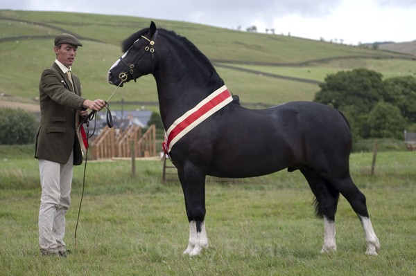 moniaive09-32 - Moniaive Horse Show 2009