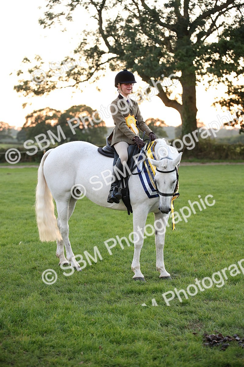 SBM_57117 - Super Supreme Championship