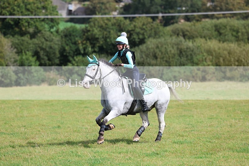 3E7A6418 - Class 1: Trebudannon Open: Pheasant Feeder