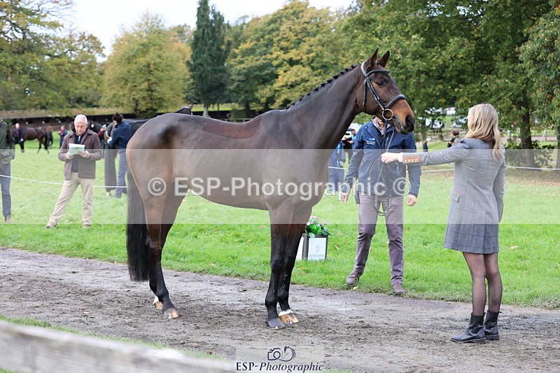 251026A-105147-23329 - F-428-Jemima.Wilson