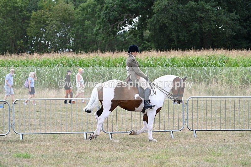 WJ7_5234 - Class 12 Ridden Cob