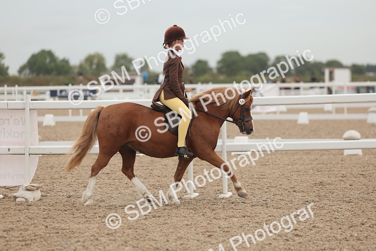 SBM_01852 - Class 14 - Ridden M&M Wildcard