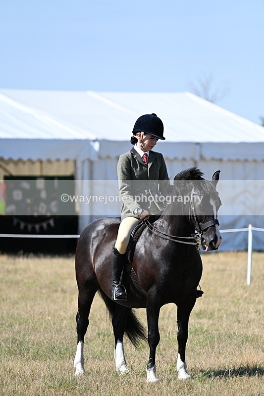 WJ7_3615 - Class 9 Mountain & Moorland Ridden