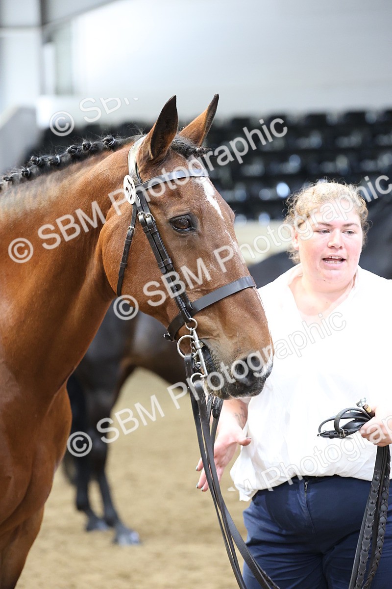 SBM_22479 - Class 902 - Supreme Final - IH Diamond