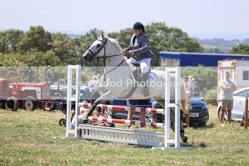 3E7A4377 - Class 10: Senior British Novice/90cm open