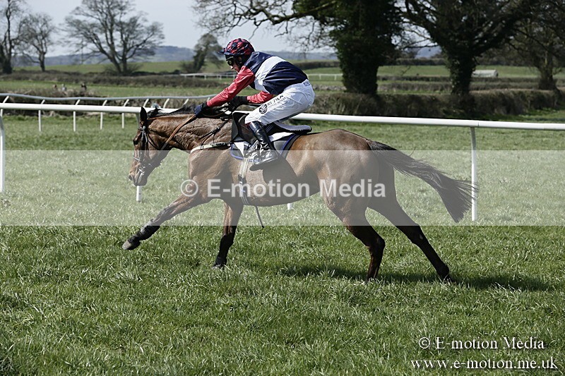 PtP 260317 20 - Mendip Farmers Point-to-Point Ston Easton 26/03/17
