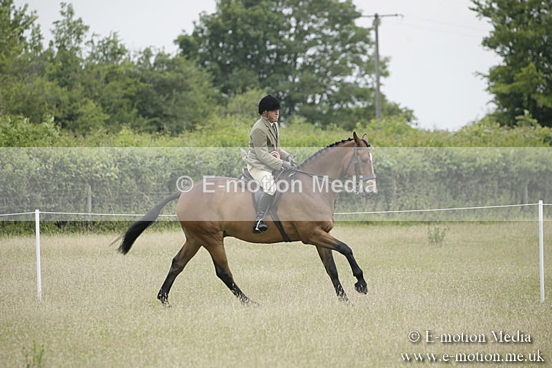 B230619-0968 - Bourne Valley Riding Club Summer Show 23/06/19