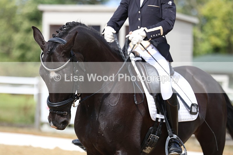 3E7A3889 - Class 8: Novice 6 Section A Championship