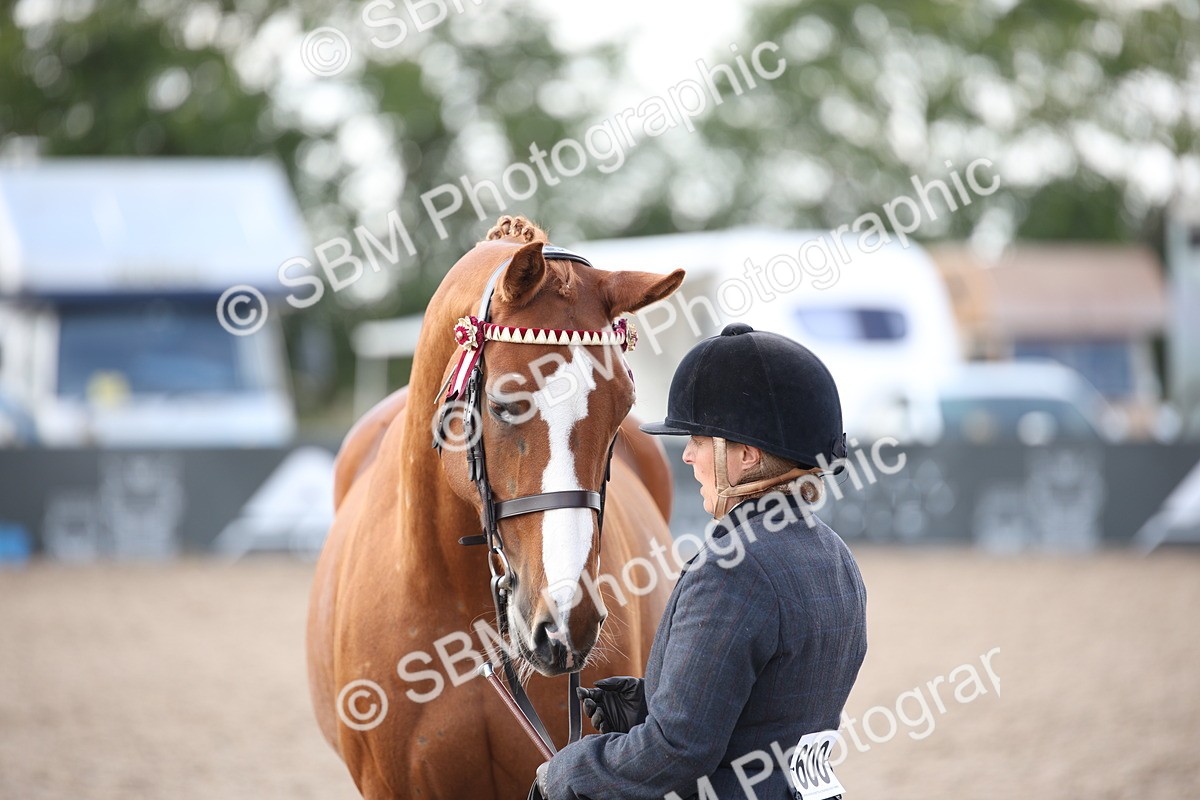SBM_07133 - Class 25 IH Foreign Breeds- Pure bred