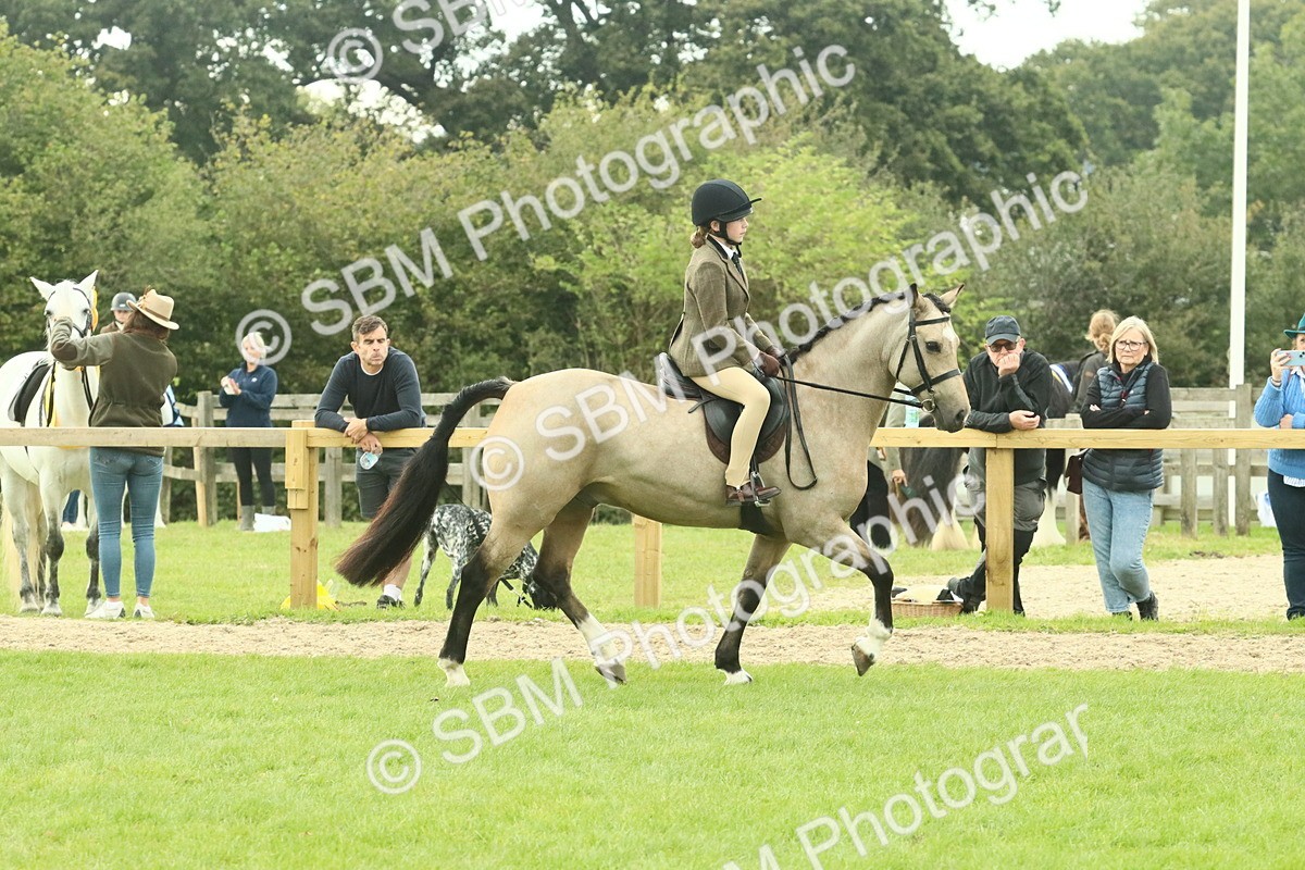 SBM_73994 - S 61 - Show Pony & Show Hunter Pony Ridden